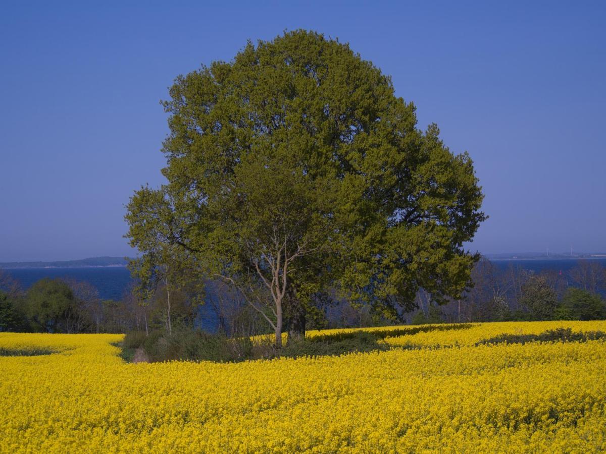 Fewo Muschel Glücksburg Buitenkant foto