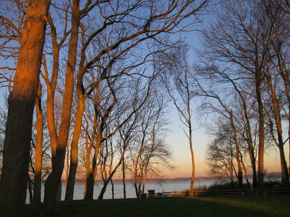Fewo Muschel Glücksburg Buitenkant foto